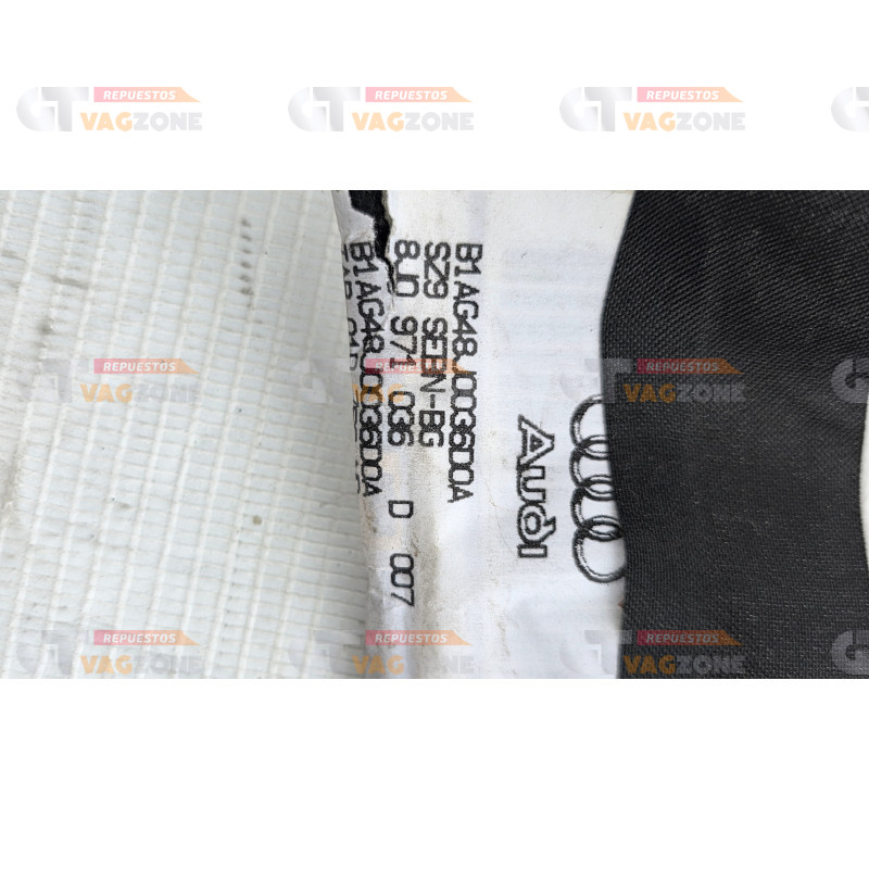 Ramal puerta rh Audi TT 8j0971036