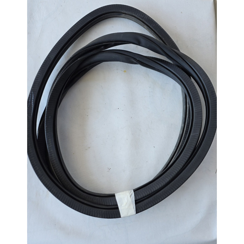 moldura goma puerta cabina Vw Tiguan